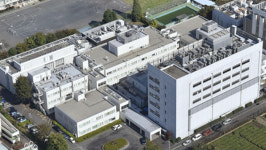 日 수도권서 풍진 유행 조짐…임신부 등 여행자 주의해야