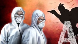 경기 용인 청미천에서 H5N2형 AI 항원 검출