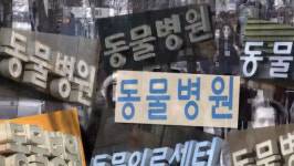 경찰, 마약성 진통제 관리 소홀히 한 동물병원 수사 착수