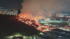 경북 포항시 두호동 산불…0.3ha 태우고 진화