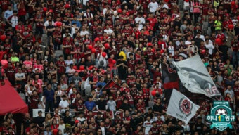 프로축구 K리그1 작년 관중대비 53.1% 증가…대구는 159% 증가