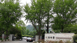 감사원 인니 목재 바이오매스 조림사업 방식·규모 재검토해야