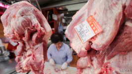돼지고기 도매 가격 13.9% 하락…경매 재개 후 안정
