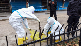 우한 수산시장, 신종코로나 유일한 발원지 아닐 것