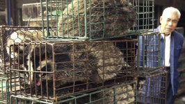 코로나19 창궐 이후 中 야생동물 농장 2만 곳 폐쇄