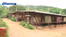 [탐정M] 개농장, 네가 왜 거기서 나와?