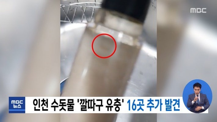 인천 수돗물 '깔따구 유충' 16곳 추가 발견 | 포토뉴스
