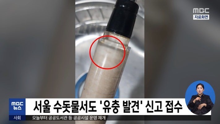 서울 수돗물서도 '유충 발견' 신고 접수 | 포토뉴스