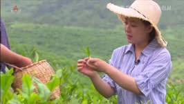 [평양 핫라인] 평양 명물 은정찻집 집중 조명 이유는?