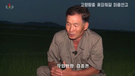 [평양 핫라인] 북한이 친환경 유기농을 장려하는 이유는?