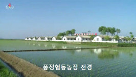 [평양 핫라인] 80일 전투에서 농업생산 강조하는 북한