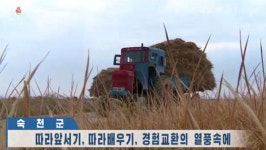 [평양 핫라인] 80일 전투에서 농업생산 강조하는 북한