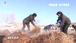 [평양 핫라인] 80일 전투에서 농업생산 강조하는 북한