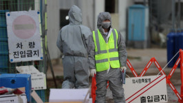 전국 5개 농가 조류AI 확진…가금류 279만마리 살처분