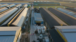 나주 농장 사육 오리, 도축장서 AI 항원 검출…정밀검사 중