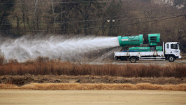 고병원성 AI 차단 주말 48시간 전국 일시이동중지 명령