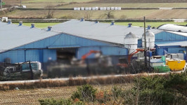 전남 장성군 오리농장서 고병원성 AI…오리 8천마리 살처분