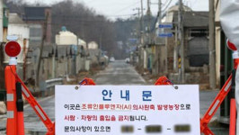 홍성·안성 가금농장서 고병원성 AI 확진…모두 62건