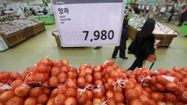 설 앞두고 수입 양파값도 고공행진…냉장소갈비도 ↑