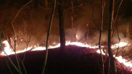 충남 아산 광덕산 화재