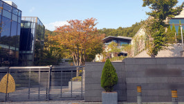 경찰, 천화동인 1호 소유 판교 타운하우스 압수수색