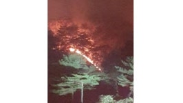 양양 서면 산불, 건조한 날씨 바람타고 산으로 번지