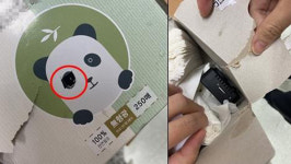 학교 화장실에 불법 카메라 설치한 초등학교 교장 구속 기소