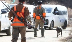 어제 용인 농장에서 탈출한 곰 2마리‥수색작업 재개