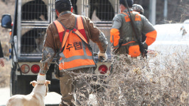 어제 용인 농장서 탈출한 반달가슴곰 2마리 중 1마리 사살