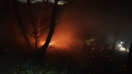 대구 와룡산 정상 부근 산불‥2시간여 만에 진화
