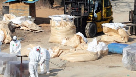 산안농장 사태 촉발 농장서 또 AI‥산안농장은 살처분 제외