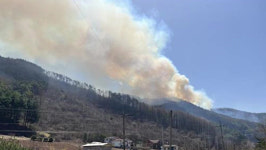정선 남면에서 산불 발생‥헬기 5대 투입 진화중