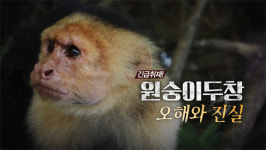 [PD수첩] 신종감염병 확산 중심에 선 성소수자들, 원숭이두창에 대한 오해와 진실