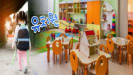 전교조 설문 조사 현장 교사 95%가 유치원 의무 교육 찬성