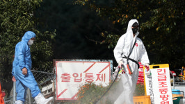 중수본 아프리카돼지열병 상황 엄중‥돈육수급 영향은 제한적