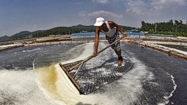 깸파리 소금과 가시렁차 수도권 마지막 염전 동주염전