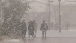 [날씨] 한파 속 서해안·제주도 폭설‥서울 아침 영하 13도