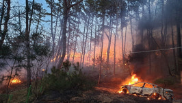 세종 전동면 야산에서 불‥인명피해 없어