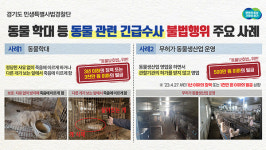 경기 특사경, 동물 학대 3곳 적발·의심 11곳 수사 중