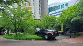 부천 송내동 아파트서 승용차 화단에 돌진‥다친 사람 없어