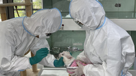 서울시, 동물보호소 고양이 조류인플루엔자 조사 결과 모두 음성