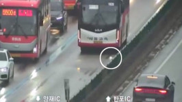 경부고속도로 반포IC-만남의 광장 5km 달린 강아지‥일대 차량 정체