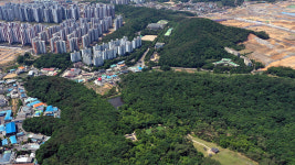 2심 법원도 김포 장릉 아파트 공사중단 명령은 부당