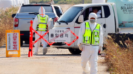 소 럼피스킨병 64건으로 늘어‥고창·철원서도 발생