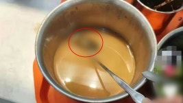 中 장쑤성 대학 식당에서 땅콩소스에 빠진 쥐 발견‥당국, 조사 착수