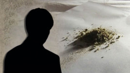 보성 대마농장 농업회사 주식회사 | "찌개·카레·파스타에 대마초"‥대마 재배·섭취 20대 실형