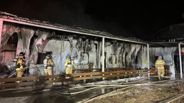 경기 동두천 곤충사육 농장에서 불‥곤충 10만 마리 폐사