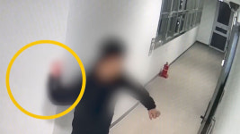개 짖는 소리 시끄러워 이웃에 흉기 난동 부린 남성 송치