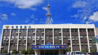 티아라 전 멤버 아름, 아동학대 혐의로 검찰 넘겨져