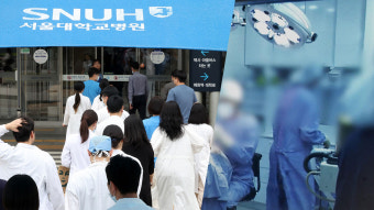 서울의대 비대위 